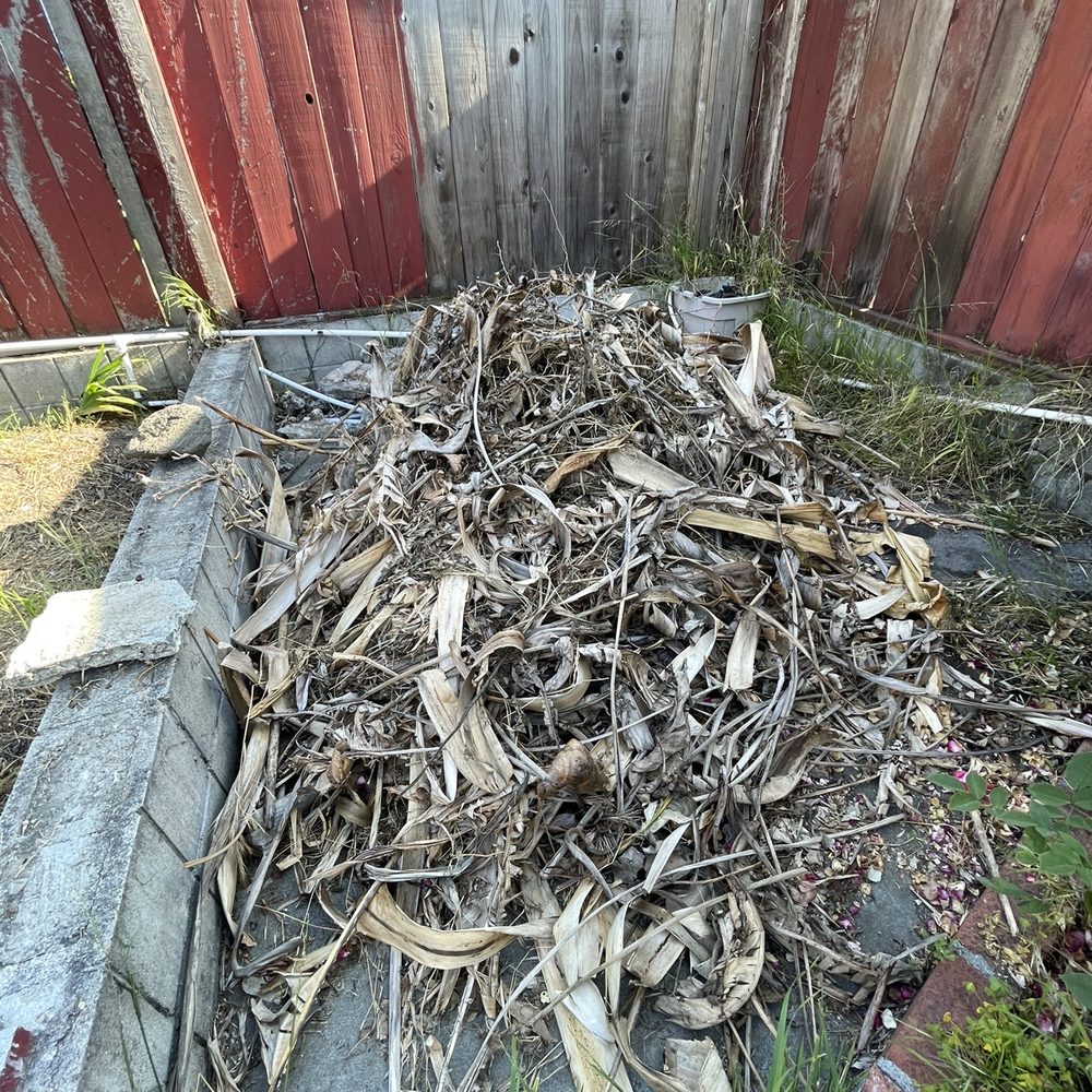 Bay Area Hauling - Yard debris - Junk Removal & Hauling Near Me Bay Area Hauling - Yard debris - Junk Removal & Hauling Near Me