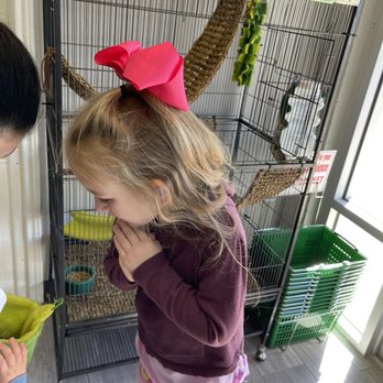 HERPS Exotic Reptile And Pet Shop - Sugar glider joy - Pet Stores Near Me - Bryan, Texas