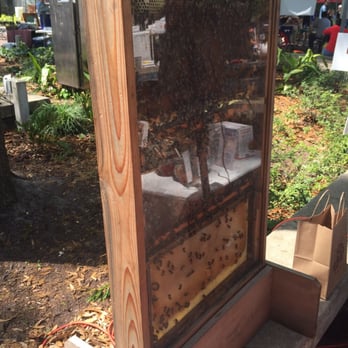 Gastrofest - Bees (bee friends farm) - Festivals Near Me - Jacksonville, Florida