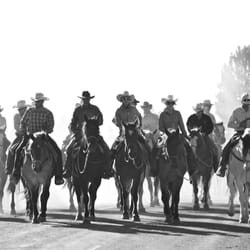 Frontier Pack Train - Horse Drive, Driving Horse and Mules to June lake.