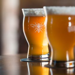 Bearded Bee Brewing