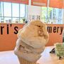 Photo of Rori's Artisanal Creamery