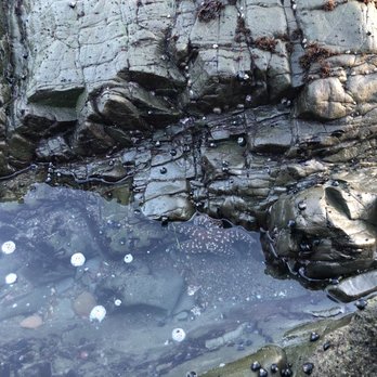 Oceanpoint Ranch - Tide pools! - Hotels Near Me - Cambria, California Oceanpoint Ranch - Tide pools! - Hotels Near Me - Cambria, California