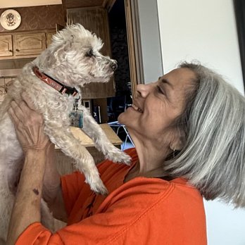 Hound Therapy - Howie loves his Mama. - Pet Groomers Near Me - Plano, Texas