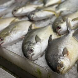 Thien Thanh Supermarket - Seafood
