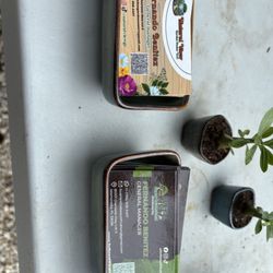 Natural View Garden Center
