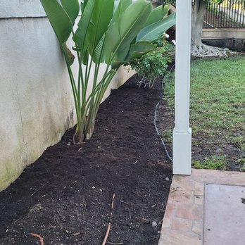 Jorge Duarte Landscaping - Soil changed and old bushes removed - Landscaping Near Me