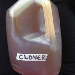 Good Flow Honey - If your curious as to what a gallon of honey looks like, it looks like happiness :)