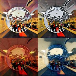American Karate - Played with the Door Decal using #PRISMA. What do you think?