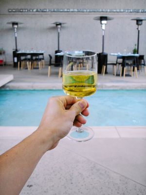 Livs Palm Springs by null