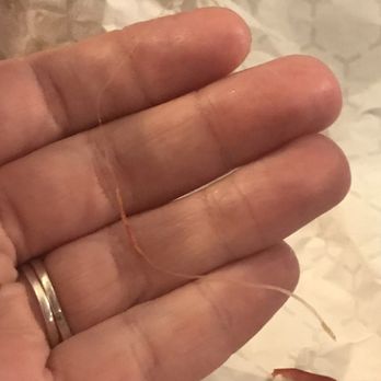 Pizza Power - a person's hand holding a piece of pizza - Pizza Near Me - Philadelphia, Pennsylvania Pizza Power - a person's hand holding a piece of pizza - Pizza Near Me - Philadelphia, Pennsylvania