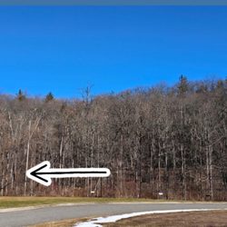 Maurice D Hinchey Catskills Visitor Center - This is the way to see the fire tower. Doesn't seem like a path when you're facing it.