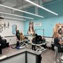 Pet Supplies Plus Cape Girardeau