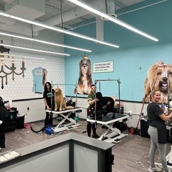 Pet Supplies Plus Cape Girardeau