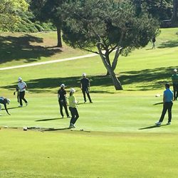 The Golf Oracle