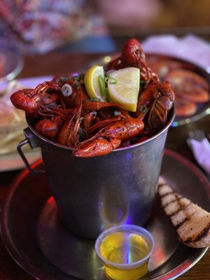 Broadway Oyster Bar by null