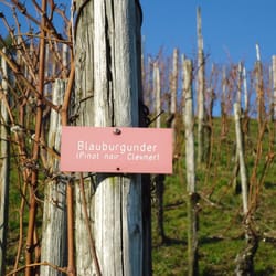 Leutschenweg