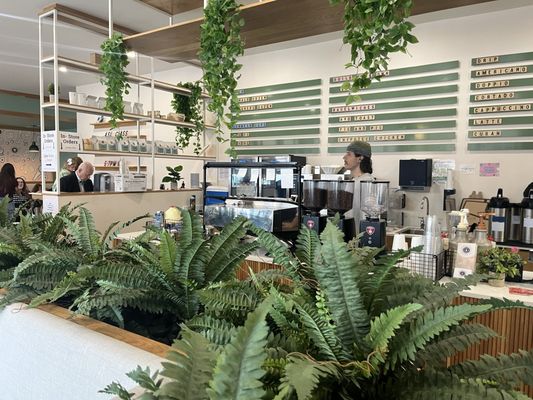Crieve Hall Bagel Co. - Crieve Hall by null