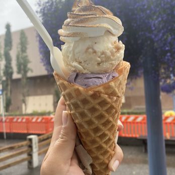 Wild Scoops - Sitka swirl and Alaskan wild berry with burned marshmallow on top - Desserts Near Me - Anchorage, Alaska