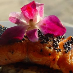 Dockside Bistro & Wine Bar - Wild Caught Salmon