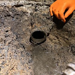 Drain Doctor - This is after I cleaned it
