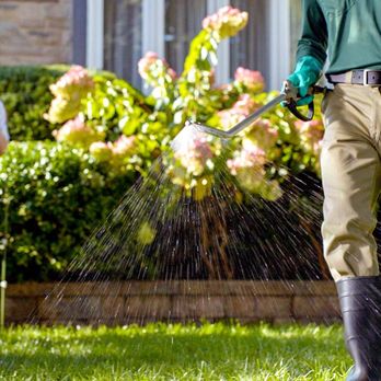 Weed Man - Lawn Services Near Me - Fort Worth, Texas Weed Man - Lawn Services Near Me - Fort Worth, Texas