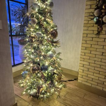 Treo Kitchen & Bar - Tree at restaurant entrance - American Near Me - Chula Vista, California Treo Kitchen & Bar - Tree at restaurant entrance - American Near Me - Chula Vista, California