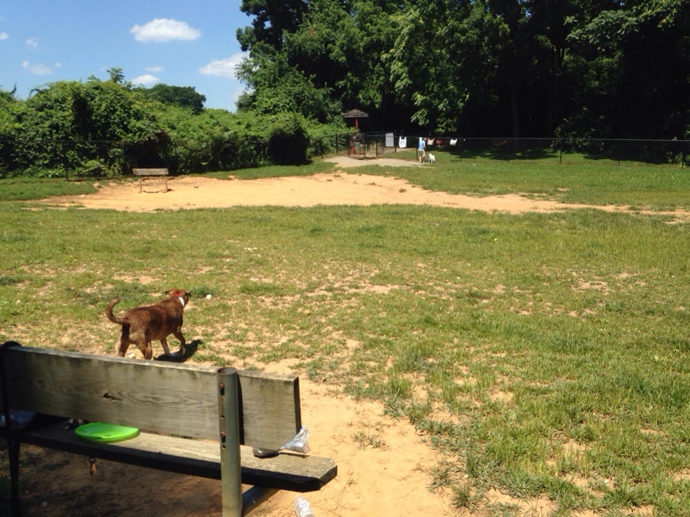 Blake Lane Dog Park Logo
