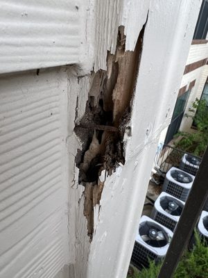 The Greens of Fossil Lake