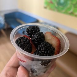 Le Frenchie Cafe - Dead spider in the fruit container