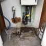Photo of Rodent Free