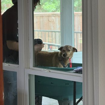 Grooming By Samara - Pet Sitting Near Me - Crandall, Texas Grooming By Samara - Pet Sitting Near Me - Crandall, Texas