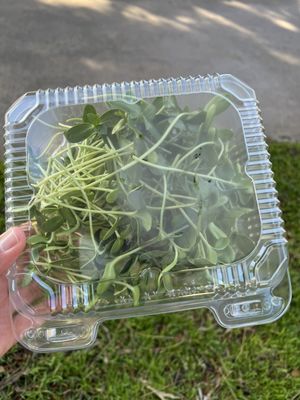 Bixby Park Local Harvest Farmers Market by null