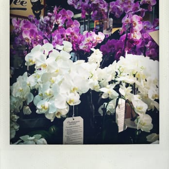 Giant Eagle Market District - Love when they have Orchids! - Grocery Near Me - Columbus, Ohio