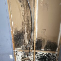 Shoopman Enterprises