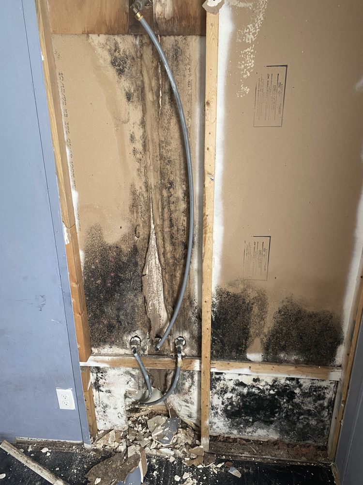 Slide of Shoopman Enterprises