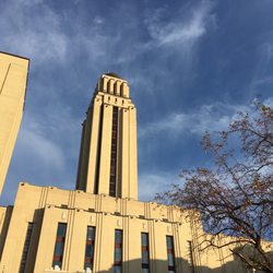 Université de Montréal