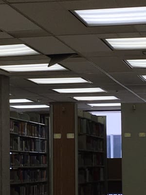 Cal State LA University Library by null