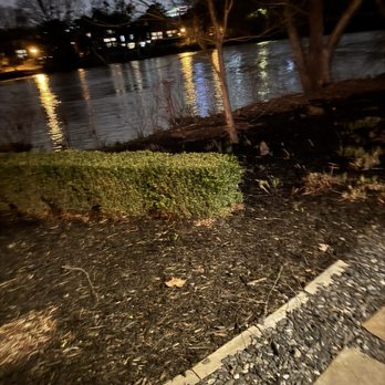 Ray's On the River - River view - Seafood Near Me - Sandy Springs, Georgia