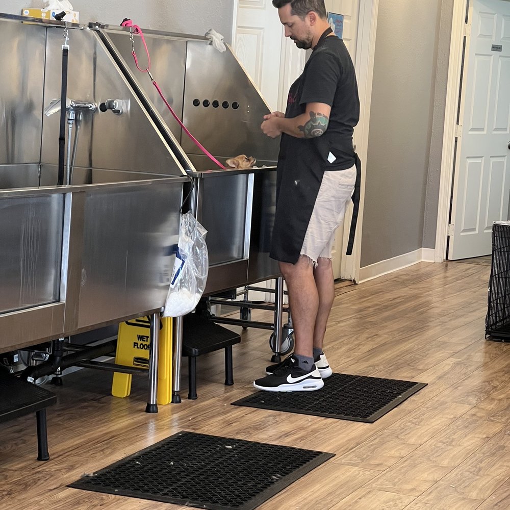 Bitches N Bubbles - Pet Groomers Near Me - Long Beach, California