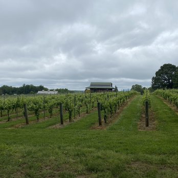 Divine Llama Vineyard - Wineries Near Me - East Bend, North Carolina
