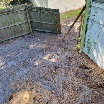 Florida's Tree Surgeons - Tree Services Near Me Florida's Tree Surgeons - Tree Services Near Me