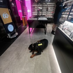 Sunglass Hut - Security up in here