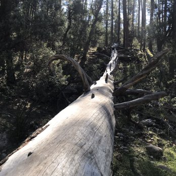 Horton Creek Trail - Hiking Near Me