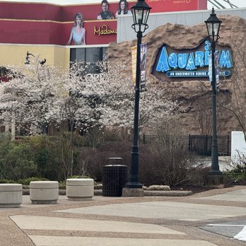 Grand Ole Opry - Music Venues Near Me - Nashville, Tennessee Grand Ole Opry - Music Venues Near Me - Nashville, Tennessee