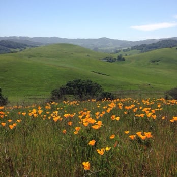 Helen Putnam Regional Park - Beautiful view while hiking - Hiking Near Me - Petaluma, California Helen Putnam Regional Park - Beautiful view while hiking - Hiking Near Me - Petaluma, California