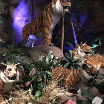 Rainforest Cafe - American Near Me - Auburn Hills, Michigan Rainforest Cafe - American Near Me - Auburn Hills, Michigan