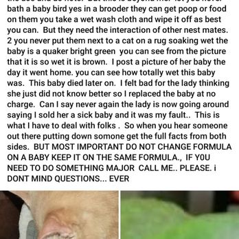 Whidbey Birds - Her posting a manipulative post on FB stating I killed my bird. - Pet Stores Near Me