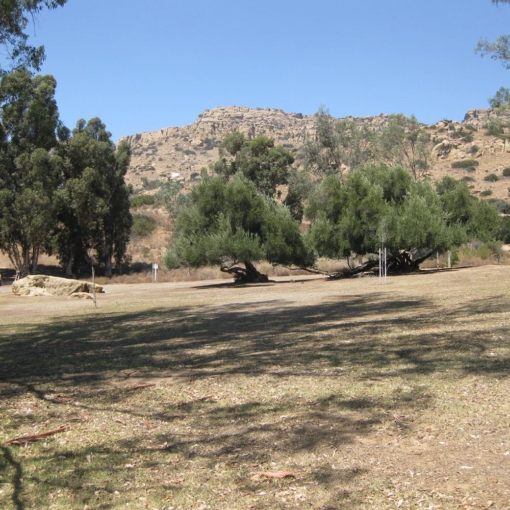 Chatsworth Oaks Park - Parks Near Me - Chatsworth, California