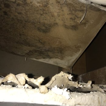 Hunters Chase Apartments - Black mold that they initially told me was not there - Apartments Near Me - Miamisburg, Ohio